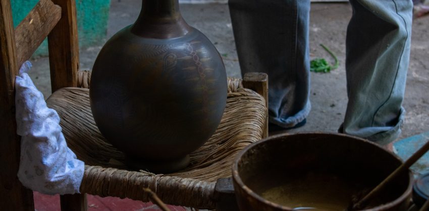 canelo_pajarito-qswx1j7gjf3elfveutr9wotwk31j52bs5damslfh0o